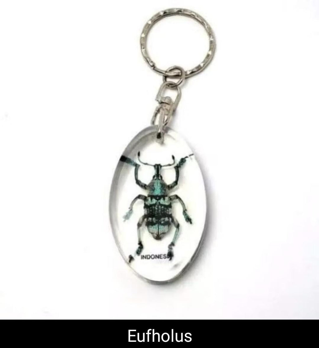 Real Insect Keychain in Resin – Scorpion/Beetle/Bug Specimen | Taxidermy Lucite Key Ring