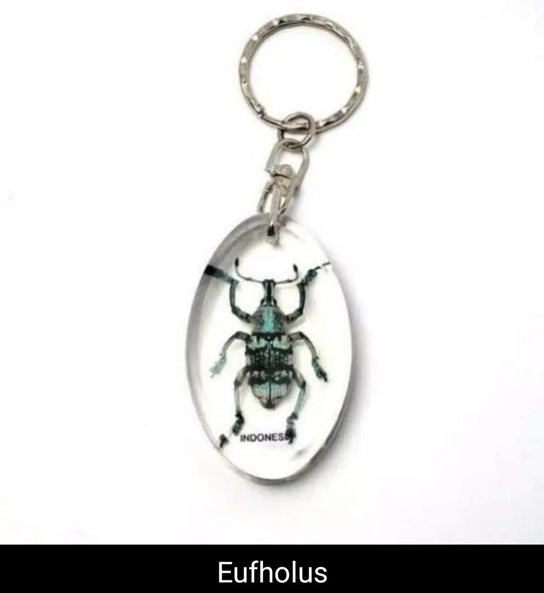 Real Insect Keychain in Resin – Scorpion/Beetle/Bug Specimen | Taxidermy Lucite Key Ring