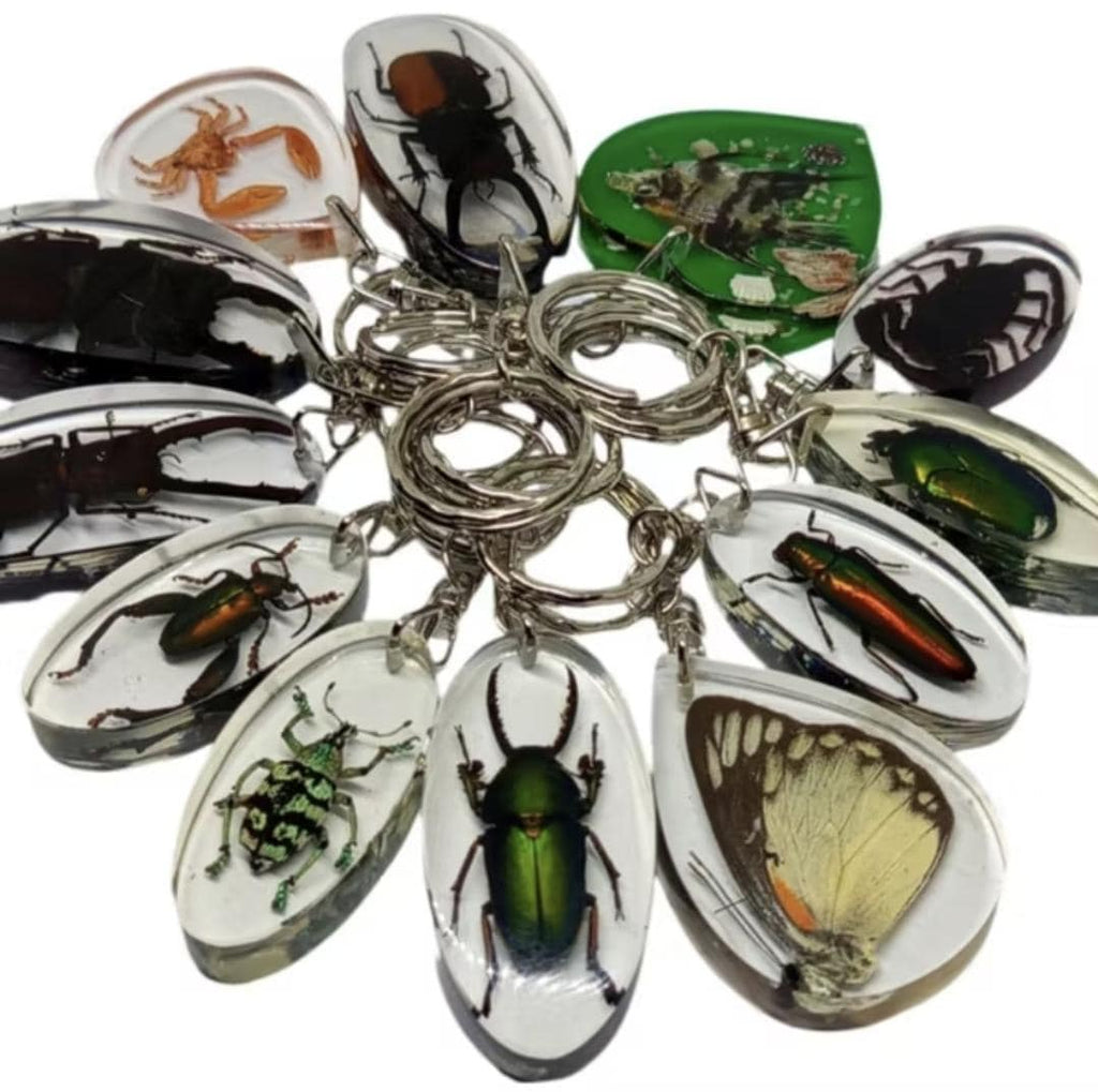 Real Insect Keychain in Resin – Scorpion/Beetle/Bug Specimen | Taxidermy Lucite Key Ring