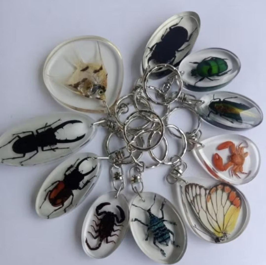 Real Insect Keychain in Resin – Scorpion/Beetle/Bug Specimen | Taxidermy Lucite Key Ring