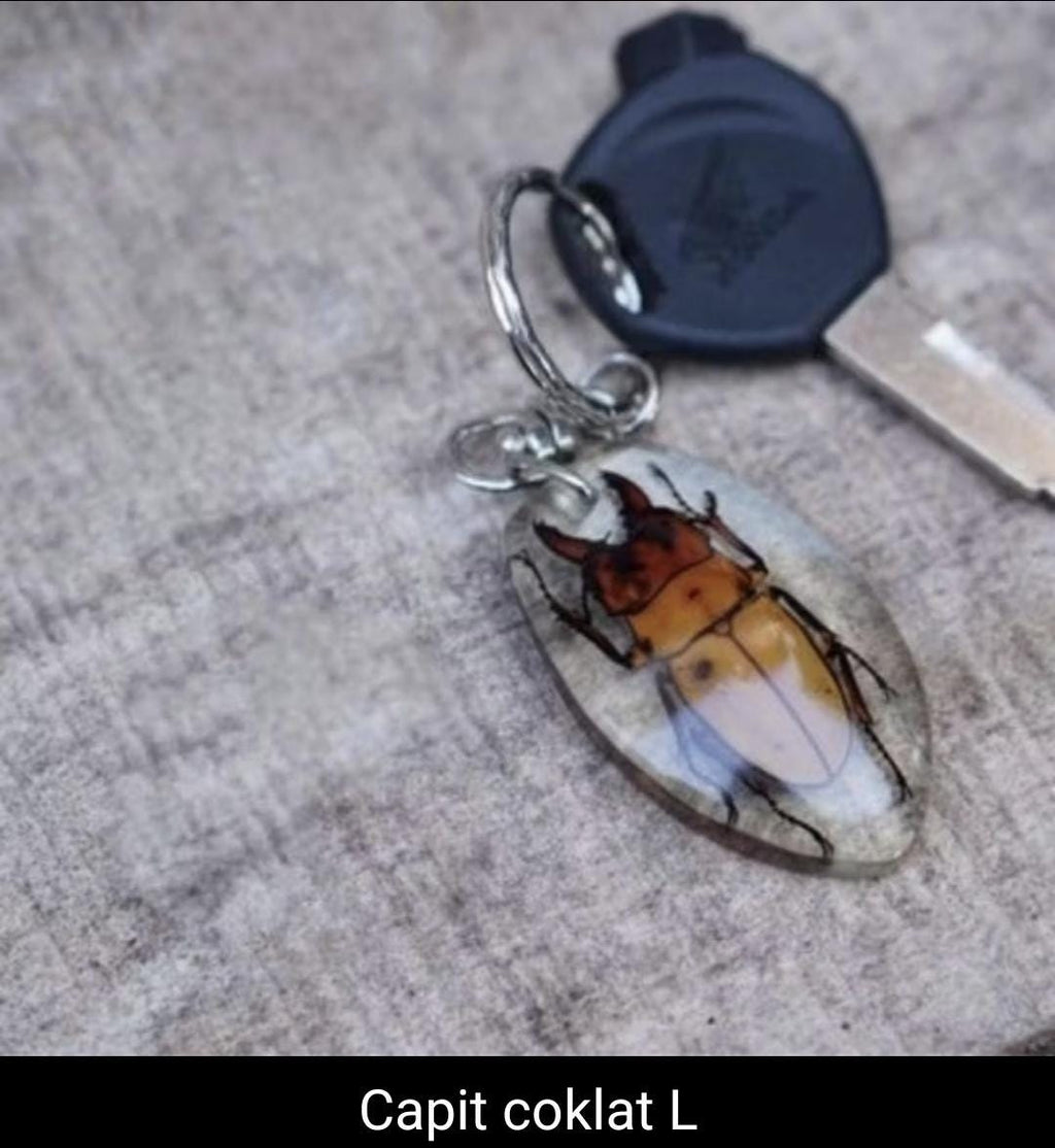 Real Insect Keychain in Resin – Scorpion/Beetle/Bug Specimen | Taxidermy Lucite Key Ring