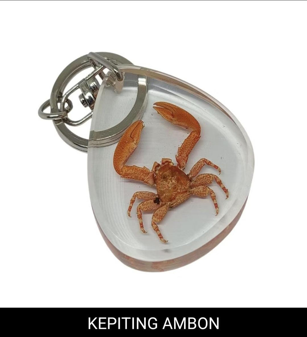 Real Insect Keychain in Resin – Scorpion/Beetle/Bug Specimen | Taxidermy Lucite Key Ring