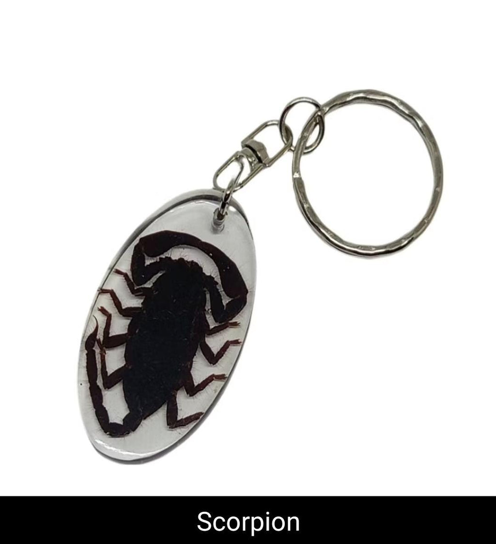 Real Insect Keychain in Resin – Scorpion/Beetle/Bug Specimen | Taxidermy Lucite Key Ring