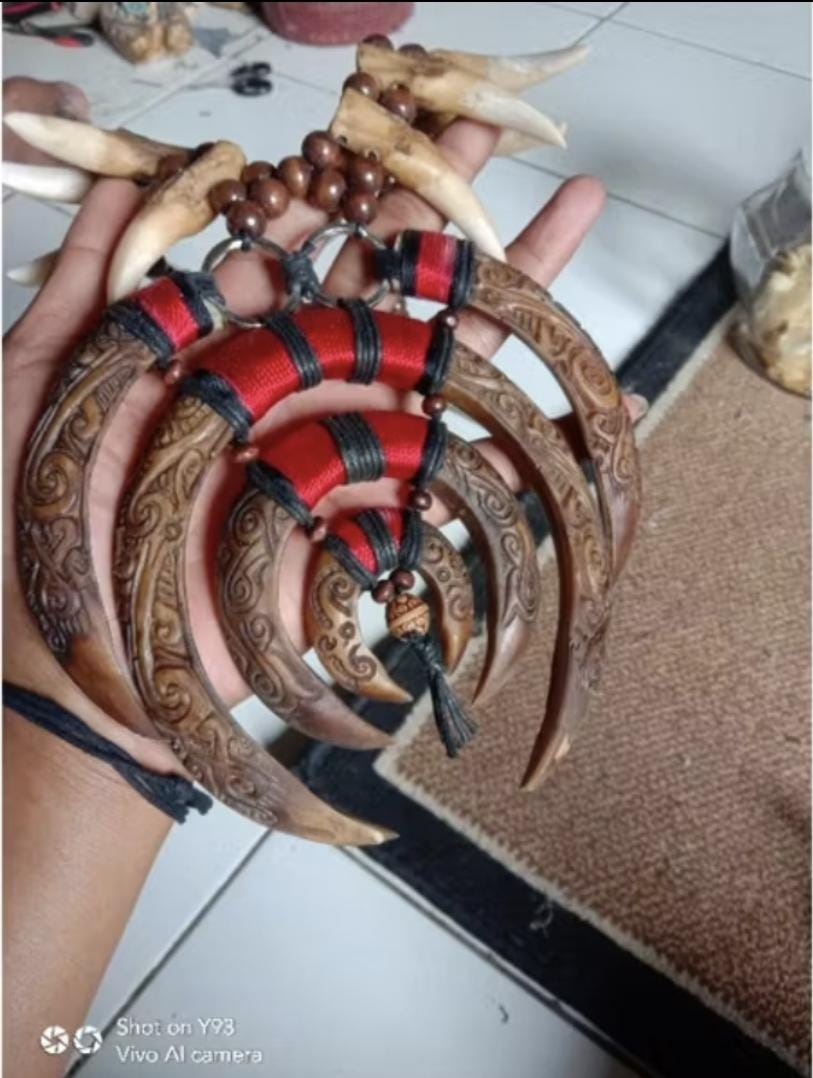 Replica Dayak Tribal Skull Claw Tusk Necklace | XL Boho Festival Jewelry Ethnic Statement Piece