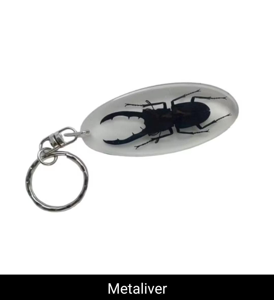 Real Insect Keychain in Resin – Scorpion/Beetle/Bug Specimen | Taxidermy Lucite Key Ring