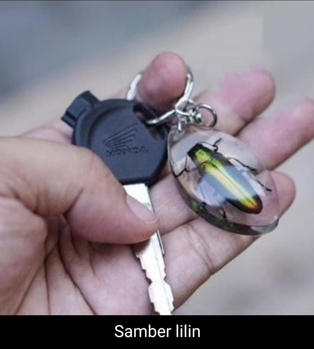 Real Insect Keychain in Resin – Scorpion/Beetle/Bug Specimen | Taxidermy Lucite Key Ring